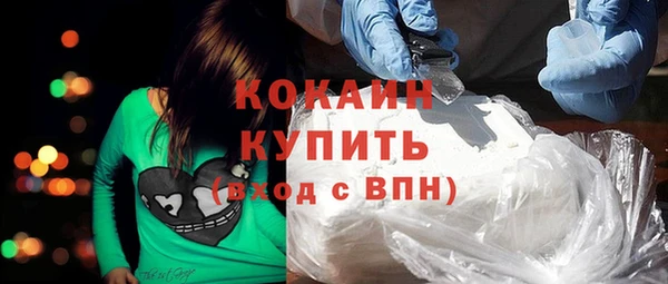 стаф Елизово