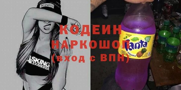 крисы Елабуга