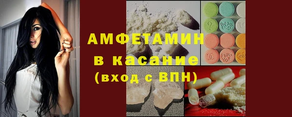 крисы Елабуга
