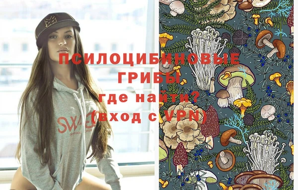 mdma Заводоуковск