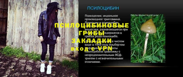 mdma Заводоуковск