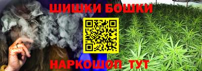 гидропоника Гусев
