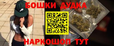 гидропоника Гусев