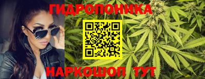 гидропоника Гусев