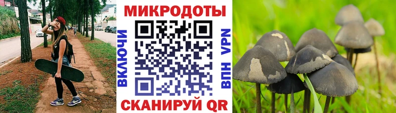 KRAKEN как зайти  Ипатово  Псилоцибиновые грибы Psilocybe 