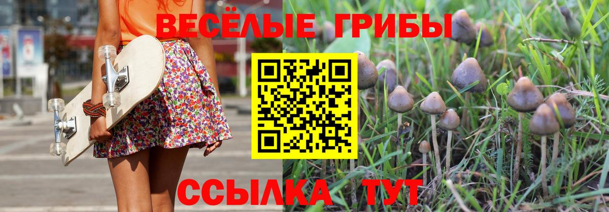 Псилоцибиновые грибы ЛСД  Вход с VPN  цены   Ипатово  Псилоцибиновые грибы прущие грибы 
