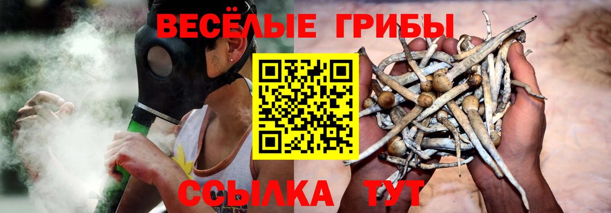 Галлюциногенные грибы прущие грибы Ипатово